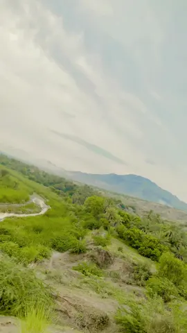 #🦅🌻🦅🤍😭🌹 #viralvideosofficial #foryoupageofficiall #growmyaccount #unfrezzmyaccount #haris #gul 