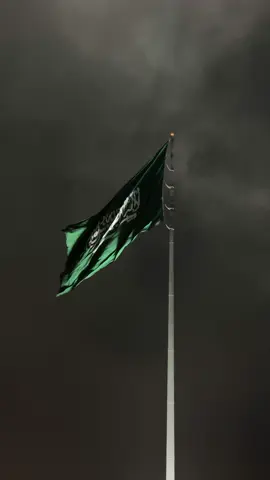 وطن لانحمية لانستحق العيش فية💚#ksa🇸🇦 #السعودية🇸🇦 