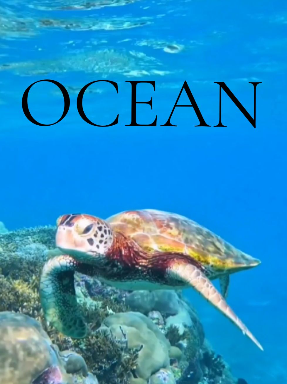 Ocean 🌊 - full screen for better experience  #calm #ocean #sea #earth #beautiful #planet #majestic #sound #aesthetics  vid from Relaxation Video (youtube)