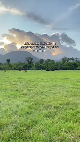 #greenscreen #orgulloso 