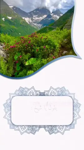 هل هناك عدد محدد صلاة علي الرسول#صالح_الفوزان_حفظه_الله #ابن_عثيمين_رحمه_الله #عبدالرزاق_البدر #ابن_باز_رحمه_الله  @بنت السلف 