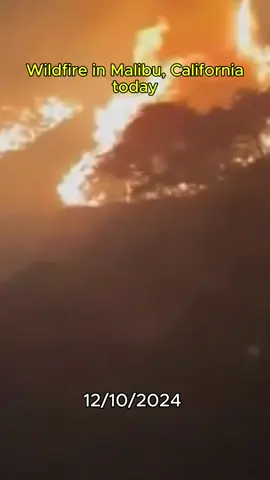 Wildlife in Malibu, LA, California. Pray for everyone safe!!!#wildlife #forestfire #fire#wildfirecalifornia #malibu #la #california #disaster #firefighter #weather #today #fypシ 