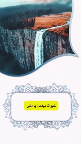 #صالح_الفوزان #ابن_عثيمين_رحمه_الله #ابن_باز_رحمه_الله #كسبلور_explor  @بنت السلف 