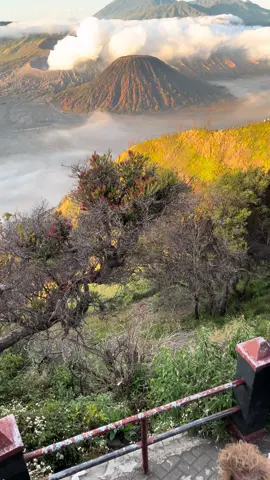#bromo 
