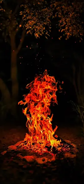 #fire #🔥 #bonfire #livewallpaper #livewallpaper4k #4k #4kUltra #4klivewallpaper #livewallpaper8K #wallpaper #wallpapers #ライブ壁紙4K #8k #틱톡벽지#ផ្ទាំងរូបភាពផ្សាយបន្តផ្ទាល់4k #papeldeparedeaovivo #hìnhnềnsống4k #живыеобои4k #아트월페이퍼 #5dlivewallpaper #zhivyye_oboi #خلفيةحية #動態壁紙 #wallpaperhidup4k #mobilelegends #wallpaperlive #hìnhnềnsống #120fps #wallpaperhidup4k #लाइववॉलपेपर4k #ζωντανήταπετσαρία #gyvitapetai #longervideos #ライブ壁紙 #tutorial 