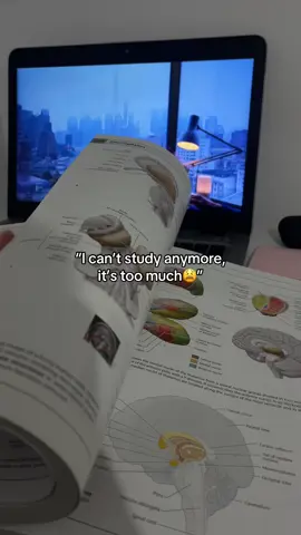 i love this app 😍 #studytok #StudyTips #college #studywithme #medschool #medschooltips #studyhacks #studying #studyaesthetic #studymotivaton #einsteinai #fyp #viralvideos 