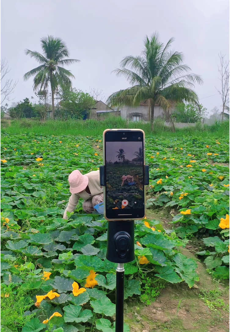 Hành trình xây kênh #buivannam #gimbal #giadodienthoai 