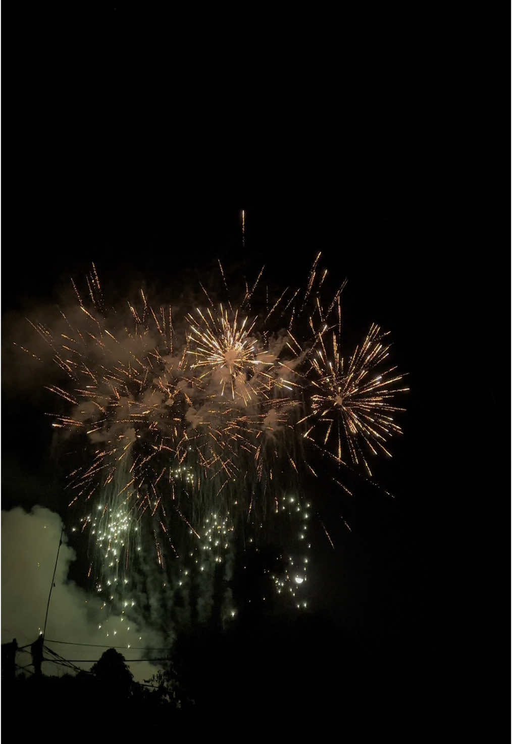 I wish we can watch the pretty fireworks together 🐣