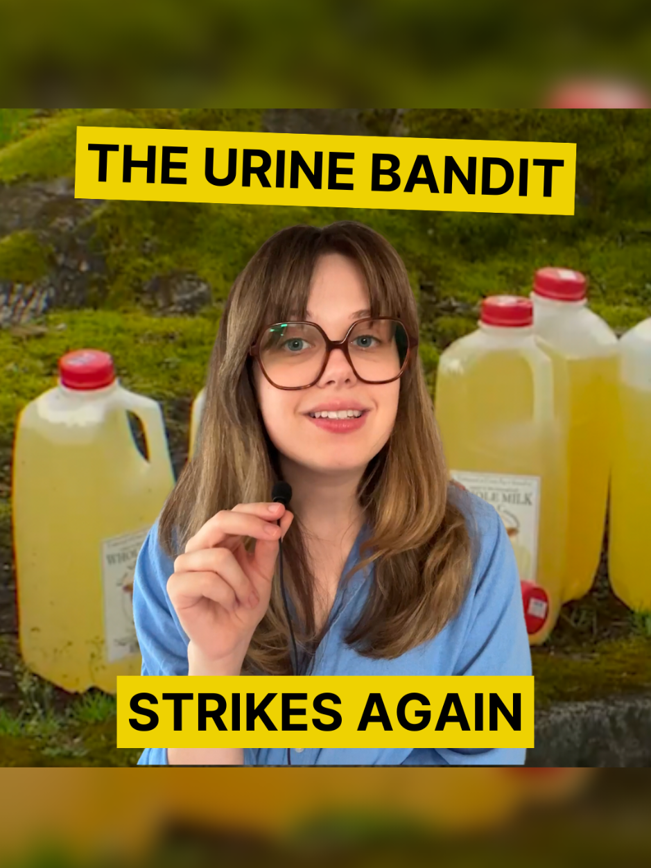 The “Urine Bandit” strikes again! This Portland neighborhood can’t seem to catch a break these days with an unknown man randomly leaving urine in recycling bins across the neighborhood. What are your theories about the “Urine Bandit”?