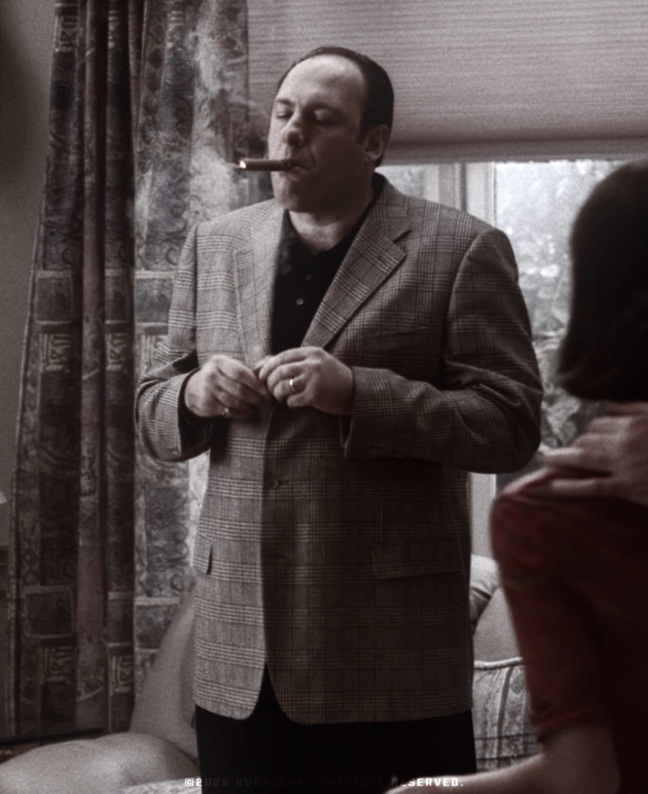 Chris already knew what Tony was going to become ||  #thesopranos #tonysoprano #thesopranosedit #tonysopranoedit #edit #fy #aestheticedtis #fyp #viral 