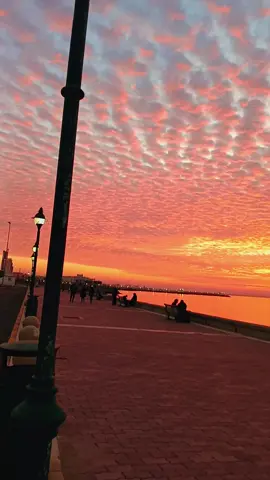 The beautiful view I've ever seen 🍁🪽 #sunset #takemehomecountryroads #kuwait🇰🇼 
