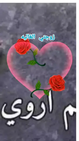زوجتي الغاليه ربي يسعدك ويحفظك في الدارين #انتشار_سريع #الاصدقاء #أبوأميرـاليافعي #متابعة #اكسبلور #اكتب_شي_توجر_عليه #زوجتي 