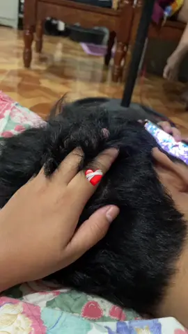 This feelings🫶🏻 #headscratch #headrubs #clinglyboyfriend #couple #coupletrend #myman #mylove 