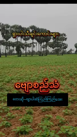 #အညာမြေရဲ့အနုပညာ #tiktok #myanmartiktok #fypပေါ်ရောက်စမ်း 