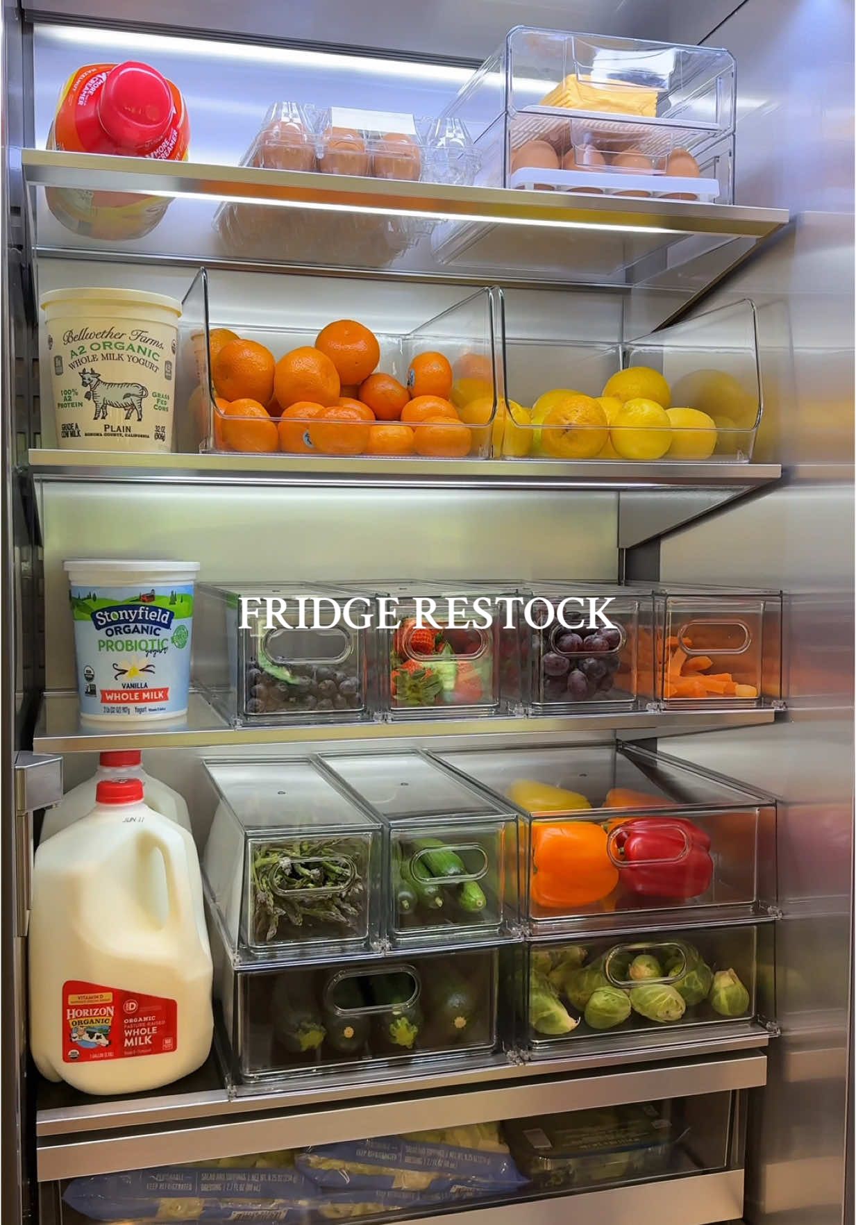 organize & restock my new fridge! 💚🥬🍓🫐🧀 #restock #asmr #asmrsounds #organizedhome #organized #restocked #satisfying #aesthetic #fridgerestock 