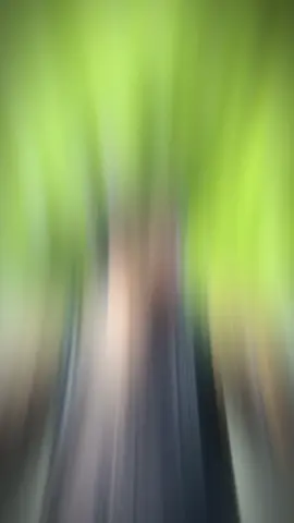 #CapCut 