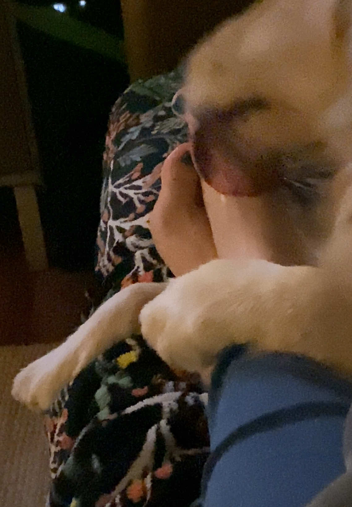 No feet are safe around here! It’s always spaw-thirty 😂 Dental wipes help keep his teeth & mouth so fresh and so clean 🦷  #feet #lick #salty #doglicking #goldenretriever #goldenretrieverlife #fy #fyp #funnydog #feetcare #pawdicure #pawdicuretime #spaw #spawthirty 