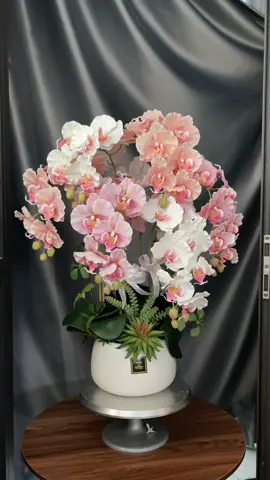 Chậu lan xoăn cắm 6 cành mix màu cho các bác ạ ☺️☺️ #TrangTríNhàCửa #hoanangdecor #binhhoadeban #chaulanhodiep #lanhodiep 