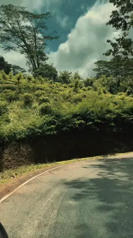 Deniyaya🍃 #capcut#capcut_edit#deniyaya_srilanka🌎🇱🇰#beautyofnature#greennature#viral#tamilnaturesong#trending#trebdingtiktok#fyppppppppppppppppppppppp#foryou#1millionaudition#srilanka#travel#travelling#peace#healthy#newtrend