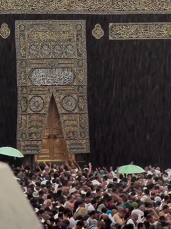Rahmat Ki Barish 🥰 #viral #aliwrites🌹 #foryou #foryoupage #madina #islamic_video #makkahmadinah🕋  #unfrezzmyaccount #fypシ #naat #barish #rain #viral_video_tiktok #fypシviral #treanding #makkah 