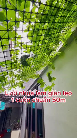 Lưới nhựa hàng rào 1 cuộn chuẩn 50m #luoinhuadeo #luoinhuanguyensinh #hangrao #ga #gàchiến #luoi #nuoichong 
