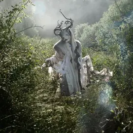 #fyp #f #y #p #foryoupage #foryou #pageforyou #pagan #norse #celtic #heilung #nature #life #freedom #letgo #paganmusic #paganedit 
