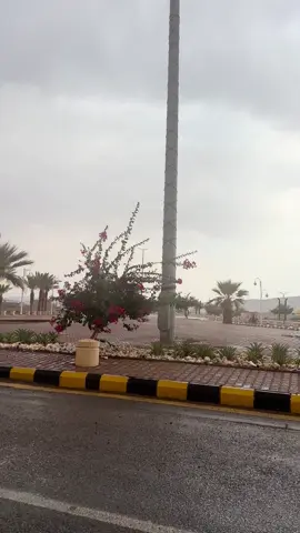 #ابوراكه #اكسبلوررر #تبوك #بلي #ابوراكه_الحره 