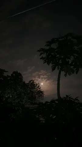 Ek kaash reh jata hai, Har koshis ke baad… #fyp #foryou #night #chand #fuadhasanarafat #tiktok #bangladesh 