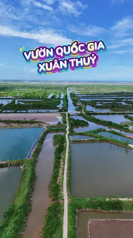 Vườn Quốc Gia Xuân Thuỷ - Ninh Bình ( Nam Định cũ ) #hoangtitmit #reviewnamdinh #namdinhcogi #vuonquocgiaxuanthuy #ndgr 