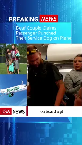 Deaf Couple Claims Passenger Punched Their Service Dog on Plane#news #fyp #breakingnews #usa #plane 