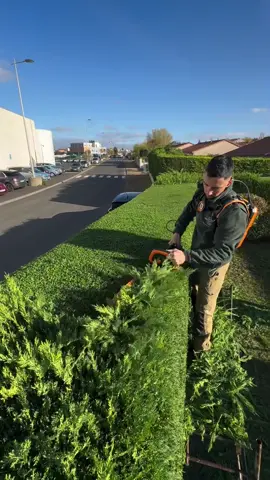 lets start the weekend off right with some hedging satisfaction by @le.jardinier.francais 🍃🍃 . check out my Insta page for more! . . . . . . . #smooth #landscape #garden #satisfying #satisfyingvideos #hedgetrimming #relaxing #relax #therapy #tools #nature #paysage #Outdoors 