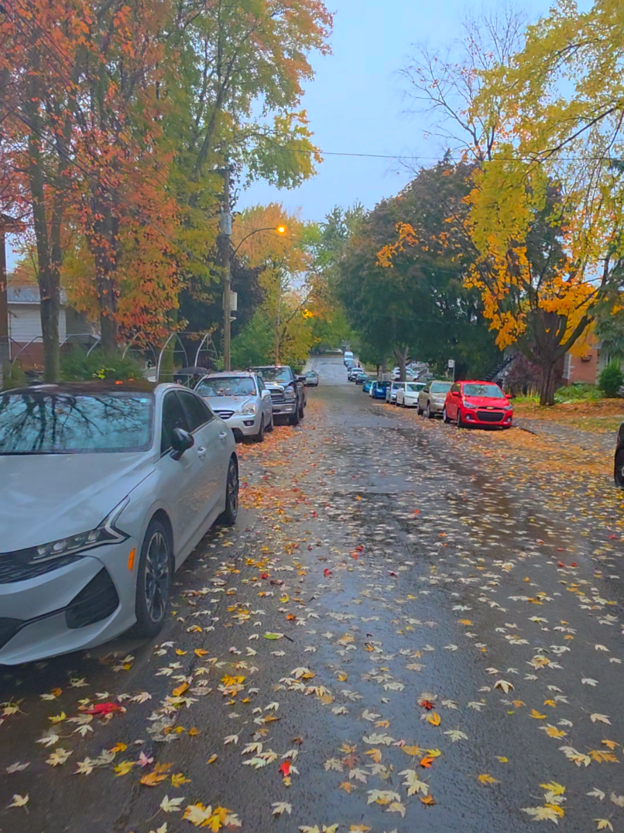 خريف 🍂 في كندا 🇨🇦  #montréa🇨🇦  #motivation #CapCut #montréal🇨🇦 #explor 