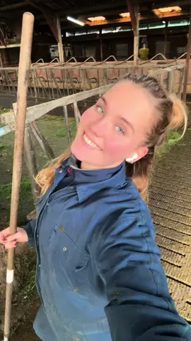 Het boerenleven is een machtig mooi feestje! Tentfeesten, op de trekker, maar ook tussen de dieren. 🥳 Muziek: Paul Keen - High  #Boerenleven #Boeren #fy #PaulKeenHigh #Farmtok 