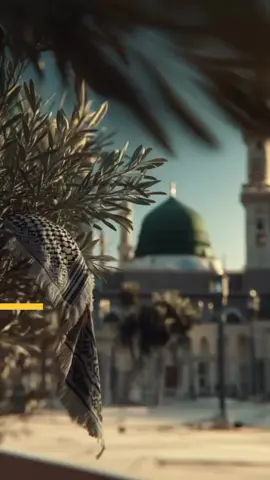 وَأَنَا أَخْتَرْتُكَ فَاسْتَمِعْ لِمَا يُوحَى  تلاوه رائعه بصوت هادئ #قرآن_كريم_راحة_نفسية🌷🌻 #القران_الكريم_راحه_نفسية😍🕋 #وأنا_اخترتك_فاستمع_لما_يوحى #آيات_قرآنية #نور_القرآن 