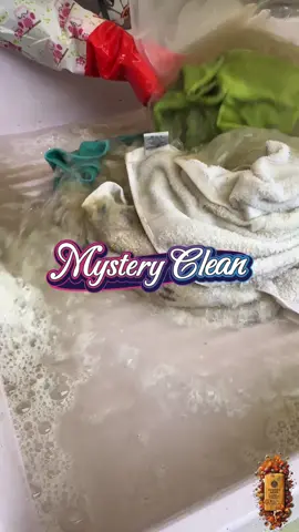 Who doesn’t love a good mystery clean? I was challenged to wash these ridiculously dirty towels we found in a friend’s garage and I had no idea what they were stained with. So I soaked them in OxiClean, FOCA detergent, and hot water, then washed them with Blanca Nieves and Fuerza Max Mexican laundry soaps. The suds were unreal. #DirtyTowels #SoapOverload #LavaderoASMR #SatisfyingCleaning #LaundryTok 