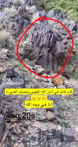 #كوبرا🐍 #كوبرا #ثعبان #الكوبرا_العربية #اناكوندا 