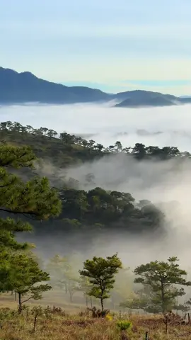 Đồi Đa Phú- Đà Lạt sáng nay 9/11 kiểu #dalat #chill #sanmay #canhdep