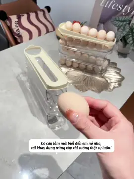 Khay đựng trứng lăn tự động 