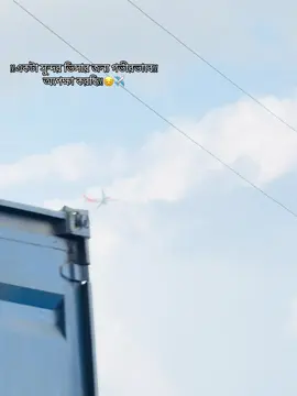 !!একটা সুন্দর ভিসার জন্য গভীর ভাবে!! অপেক্ষা করছি!!