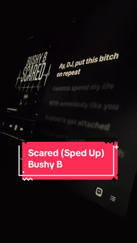 Scared (Sped Up) #BushyB #scared #fyp #lyrics 