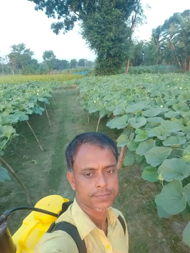 বেতারার ভিতরে আগলা পীর দেখাতে আসবেন না