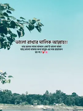 ভালো রাখার মালিক আল্লাহ!! তার রহমত সাথে থাকলে একা'ই ভালো থাকা যায়,ভালো থাকার জন্য মানুষ এর সঙ্গ প্রয়োজন হয় না.!❤️‍🩹🌸#foryou #foryoupage #bdtiktokofficial🇧🇩 #fyp @TikTok @tiktok creators @TikTok Bangladesh 