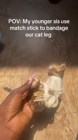 😂😂😂 so our cat got injured accidentally yesterday and my sis insisted that the leg is broken I said okay let us watch it till morning she said okay not knowing she had other plans in mind then I woke up this morning and saw match stick and rope on the cat leg 😂. She is telling me now that what she did worked and the cat leg is better #cat #fypシ #funnyvideos #injuredcat 