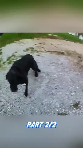 #police #policeencounter #bodycam #emergency #usa 