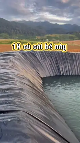 Bác nào cần bạt lót hồ thì a lô em  #bebathdpe #batlotho #giaitri #batlothohdpe #nongnghiep 