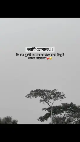 তুমি আমার সব'❤️‍🩹