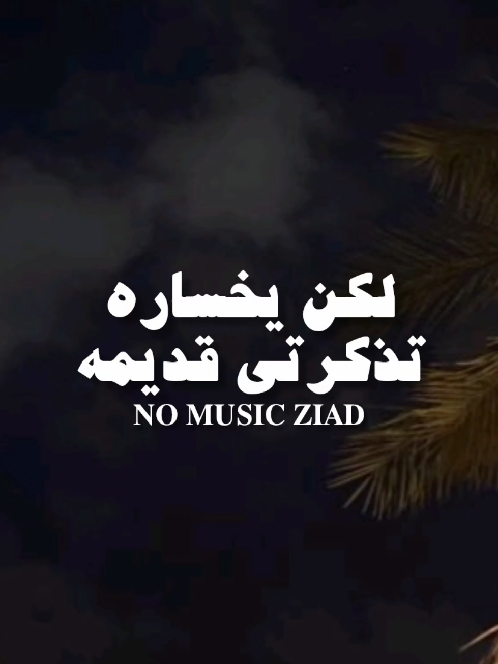 لكن يخساره تذكرتي قديمه..! 🖤🍂 #اغاني_بدون_موسيقى #nomusic #تصميم_فيديوهات🎶🎤🎬 #امير_عيد #fyp 