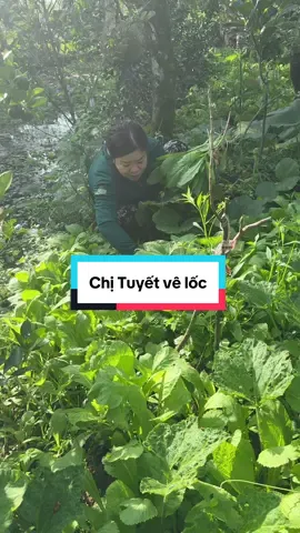 Mần Chủ cùng Chị Tuyết #phanyennhi #nhàyama 