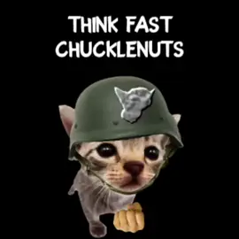 WAKE UPPP EVEN IF ITS BEDTIME!! #elgatito #cat #fyp #meme #foryou 