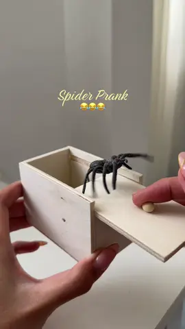 Prank mo nadin mga friends mo! Spider prank HAHAHAHHA 😂🕷️ #spiderprank #prank #spiderboxprank #spiderinabox #pranktime 